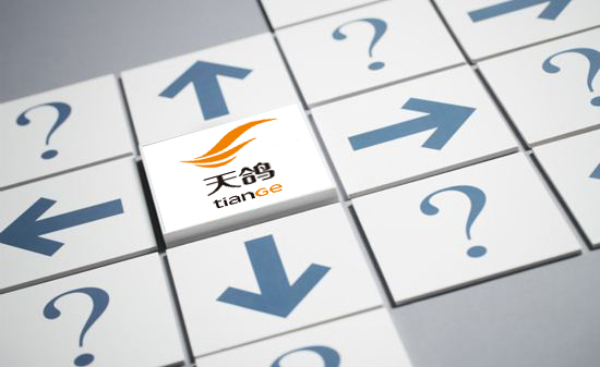 天鸽傅政军：直播转向东南亚市场或将复制新的
