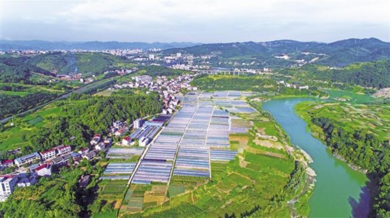 浇水要浇在根子上