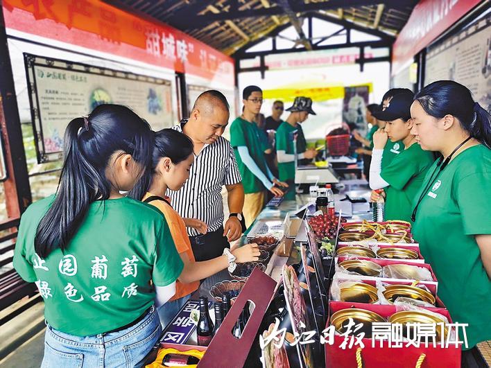 市中区正园种植专业合作社：精细管理出品质 小葡萄“串”起兴村富民大产业