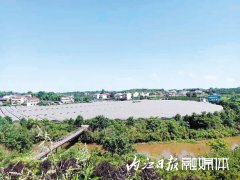 市中区正园种植专业合作社：精细管理出品质 小葡萄“串”起兴村富民大产业