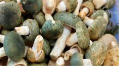 “危险的”美味！银针试毒？生虫无毒？这些鉴别方法不靠谱