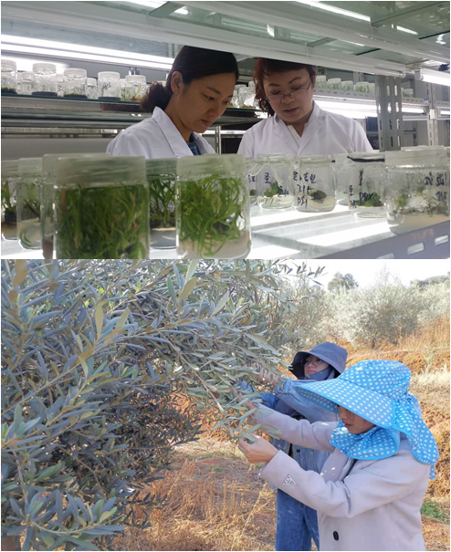 西昌学院农业科学学院招生啦！