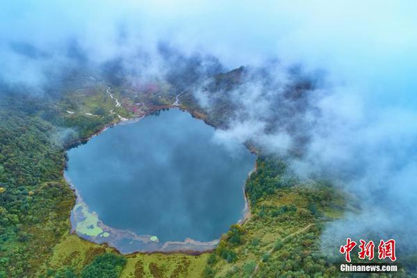 转向：秦脉公司医药行业政策法规咨询服务商业计划书
