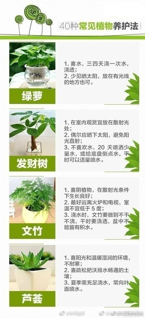 中国打假行业新闻动态  全民打假网