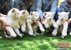 迪庆州新闻舆论监督暂行办法