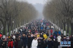 中国国家制造强国建设战略咨询委员会质量品牌
