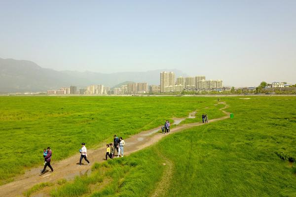 中国国家制造强国建设战略咨询委员会质量品牌发展分组成立