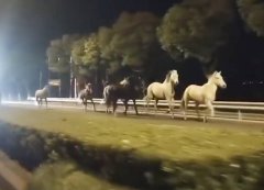 “争当科技小能手”教育公益讲座开讲