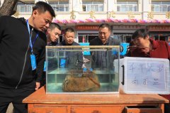 研究机构报告预测：超高清视频有望成万亿级市