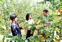 <b>安徽亳州：“乡土人才”积极投身文明实践 “走</b>