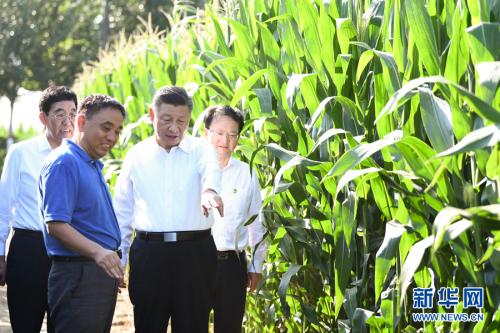 充满希望的田野 大有可为的热土——习近平总书记考察吉林纪实