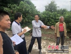 安岳决战脱贫攻坚：做实做强富民产业 变美乡村生产、居住环境