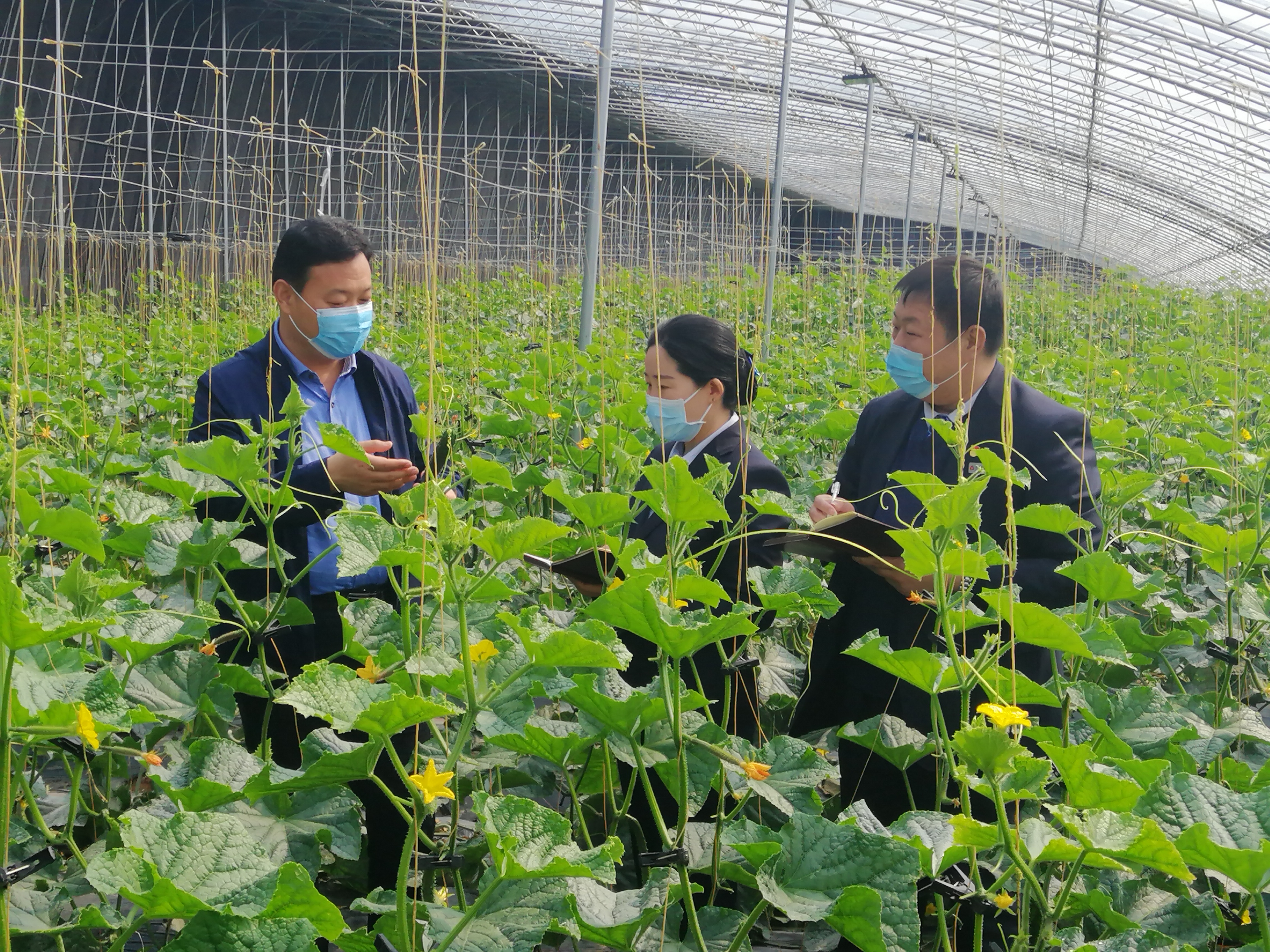 全市农商银行1000亿元金融活水支持稳企业保就业