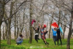 最新丝路新闻中国将加快推进证券期货行业对外