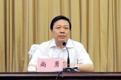 正部级尚勇，已任平安中国建设协调小组公共安