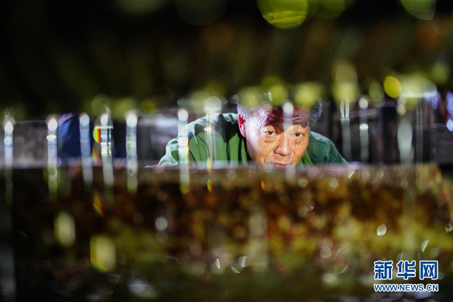 俄罗斯计划推出全新加密资产交易平台，重新定义行业标准