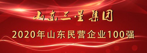 山东三星集团再登2020年山东民营企业百强榜单