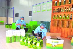 【优化营商环境 激发市场活力】来凤多举措为企业减负