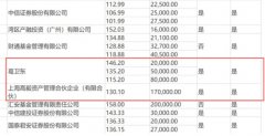 溢价定增被抢购，惊现葛卫东、高毅、瑞信，闻泰科技凭什么？