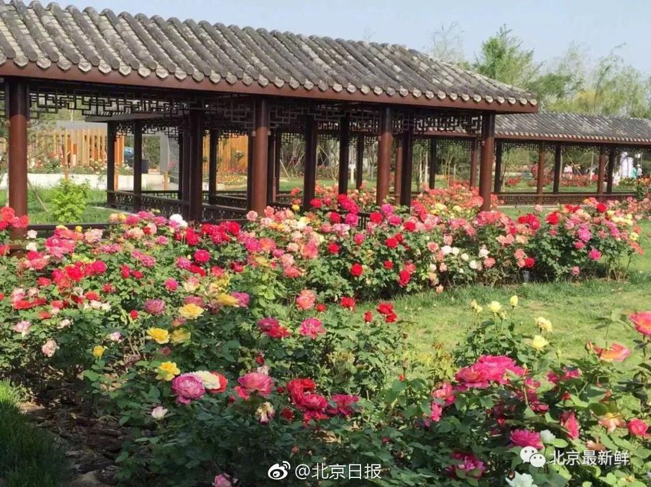 衡山县人才网找工作是去大公司好还是去小公司好