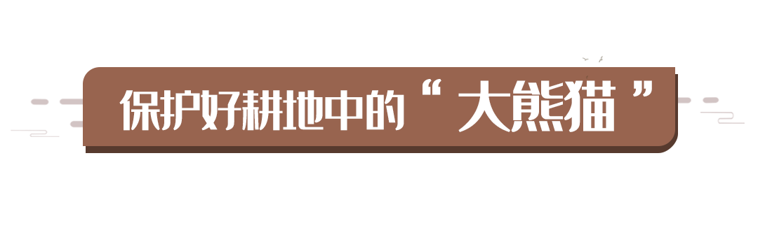 食为政首，习近平吉林之行再强调
