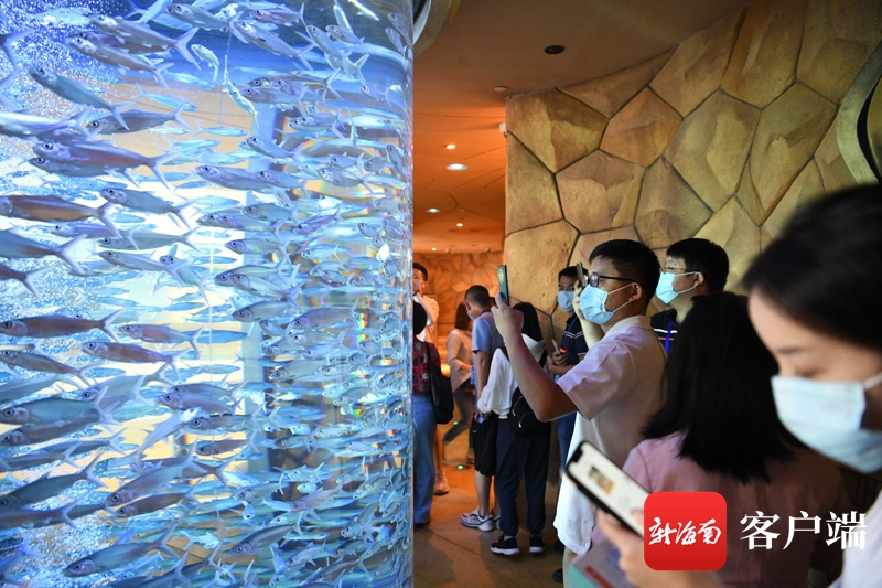 全国网媒打卡三亚·亚特兰蒂斯：不负期待，值得