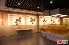 【河北省县域特色产业云媒体行】河北隆尧：不断完善食品产业链条 打造全国