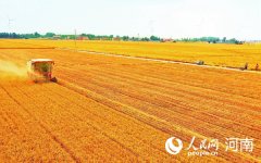 研究支持企业发展和优化营商环境等事项