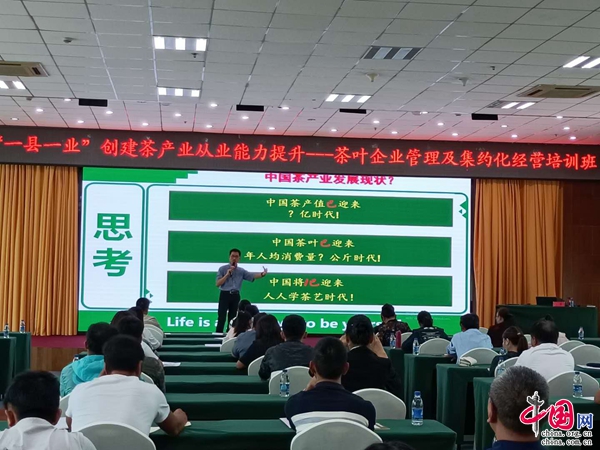 普洱思茅：为“一县一业”创建提供人才和智力支撑
