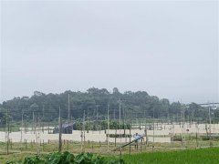 台州米面行业该何去何从？