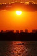 野娃食品招商代理政策是什么代理条件