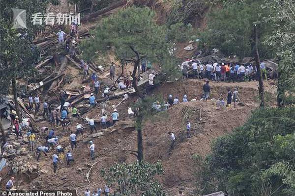 奇山街道——水母网新闻中心