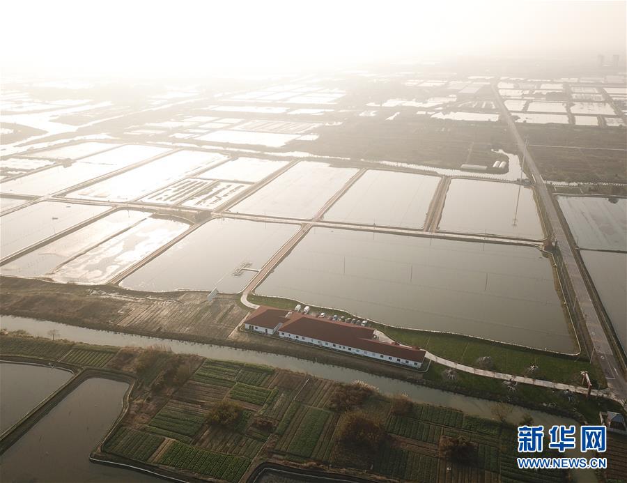 中远海发(601866)个股行情,分析,要闻