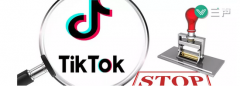 TikTok的美国悬疑剧进入大结局