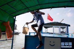 搭建国际交流平台 培养复合型人才