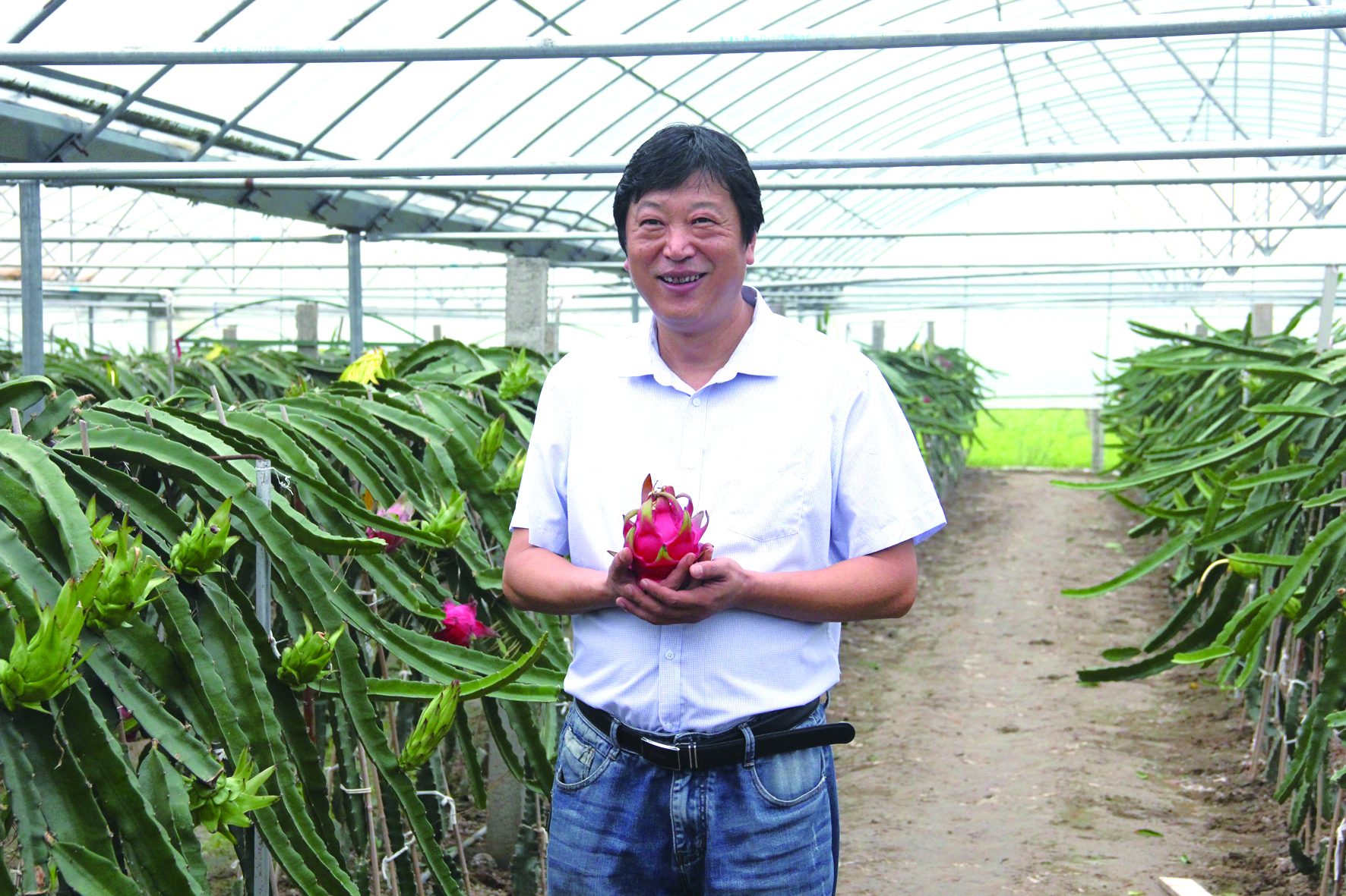 火龙果“拍了拍”你 邀您共享美味盛宴