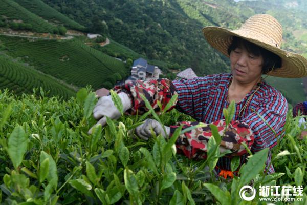 春季时令菜，请接收这份来自季节的美味“限定”！