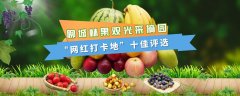 出炉啦!聊城这些林果观光采摘园“网红打卡地”最受欢迎!