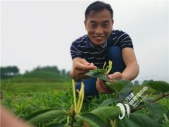 刘先平：“科技之翼”引领贫困群众走上“致富路”