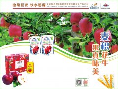 苹果,中国,饮水思源,石窟,巨变
