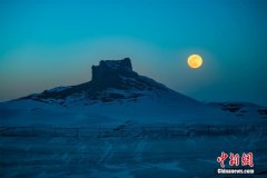 各地政府网站、重点新闻网站、重点报纸电子版