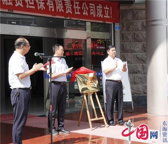 兴化市首家政府性融资担保公司正式挂牌成立