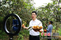 泸州龙马潭：足音铿锵 绘就脱贫攻坚新画卷