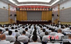 名山：“五大行动”促服务业高质量发展