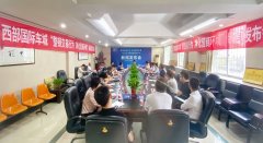 西部国际车城对汽车市场乱象的探讨与治理