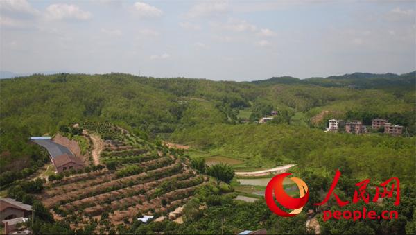 “赣”劲十足,江西按下创新发展“快行键”