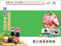【沧桑巨变 饮水思源 全省58个贫困县脱贫攻坚主题公益广告之（21）】环县生态