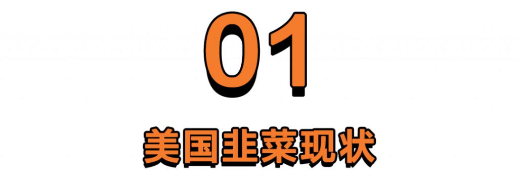美国韭菜集聚地，梭哈杠杆出奇迹