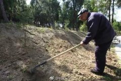 武汉微派网络科技有限公司2020校园招聘