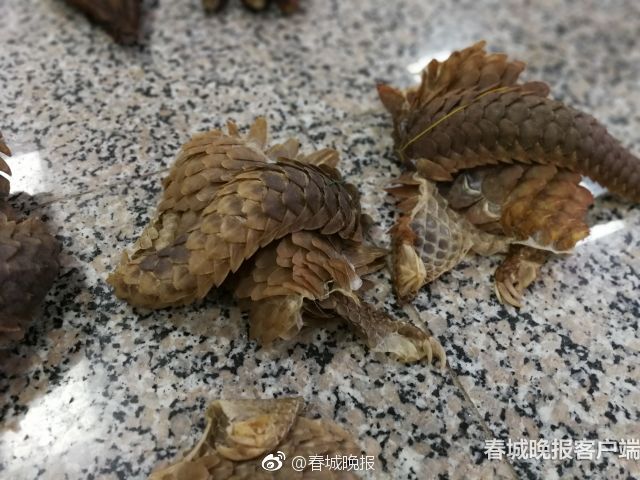 洪灏：沪港通延迟成为市场阻力货币政策ETF股市